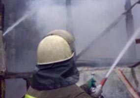 В Воронежской области при пожаре в доме погибла 81-летняя селянка